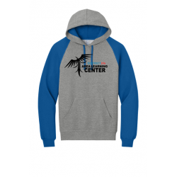 ALC Raglan Hoodie