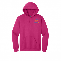 District 196 Hoodie