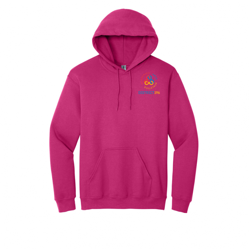 District 196 Hoodie