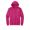 District 196 Hoodie